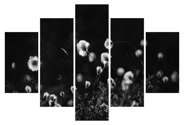 Slika - Livada s pamučnicom N⁰1 (150x105 cm)