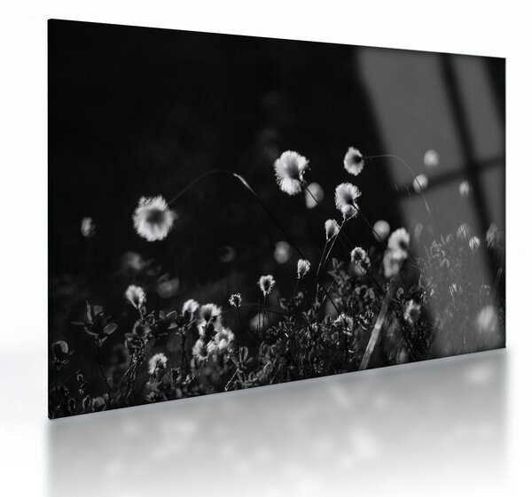 Staklena slika - Livada s pamučnicom N⁰1 (70x50 cm)