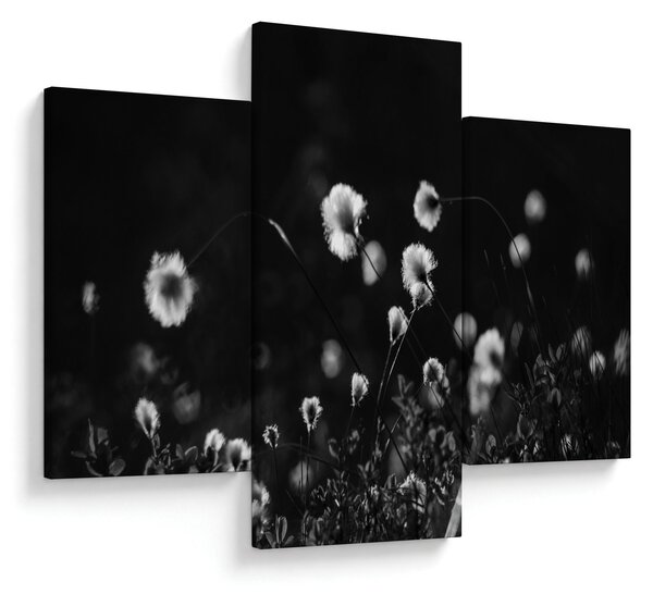 Slika - Livada s pamučnicom N⁰1 (90x60 cm)