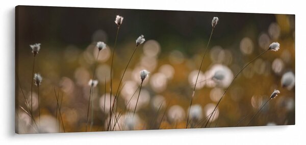 Slika - Livada s pamučnicom N⁰2 (120x50 cm)