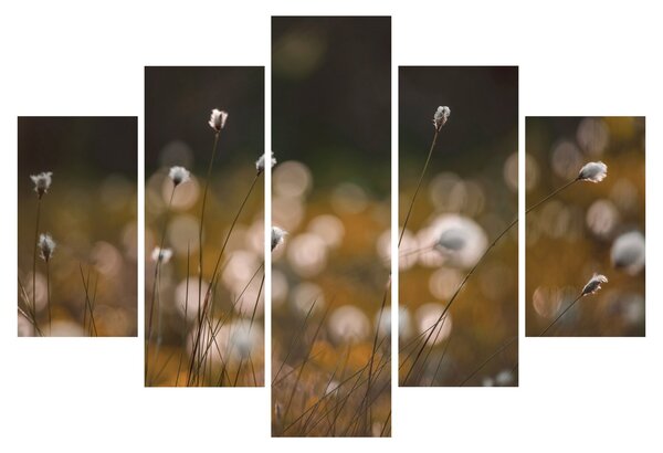 Slika - Livada s pamučnicom N⁰2 (150x105 cm)
