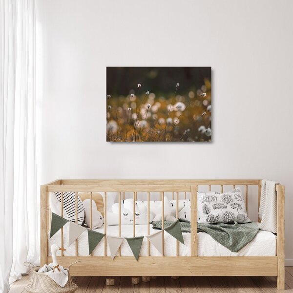 Staklena slika - Livada s pamučnicom N⁰2 (70x50 cm)