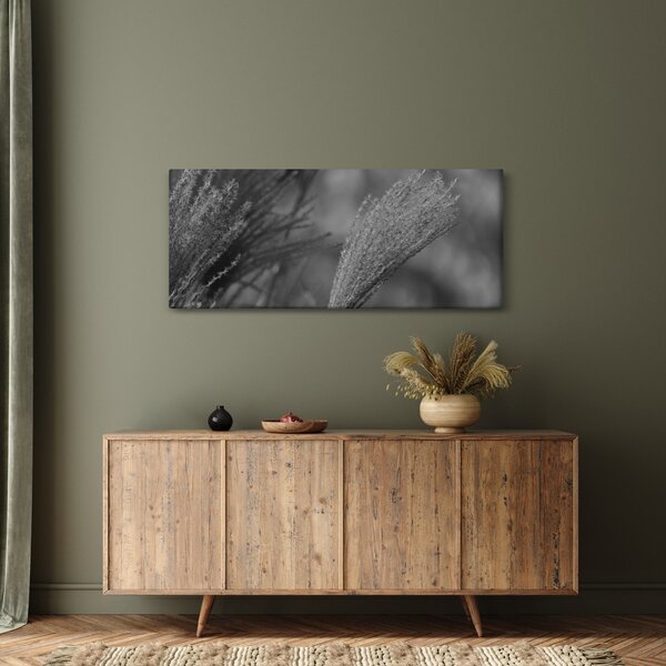 Slika - Osušena pampas trava (120x50 cm)