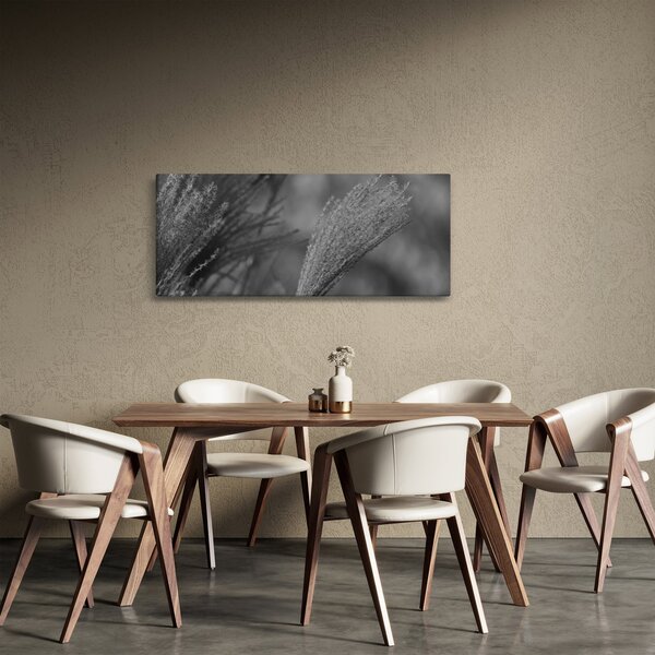 Slika - Osušena pampas trava (120x50 cm)