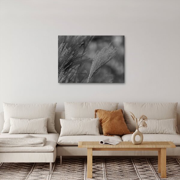 Slika - Osušena pampas trava (70x50 cm)