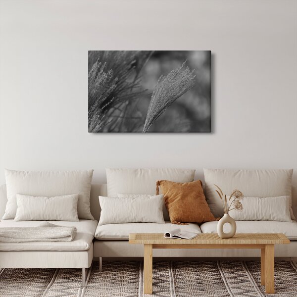Slika - Osušena pampas trava (90x60 cm)