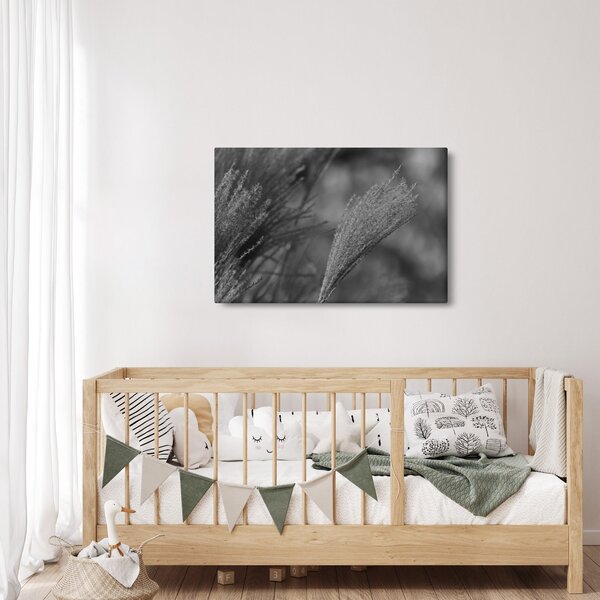 Slika - Osušena pampas trava (90x60 cm)