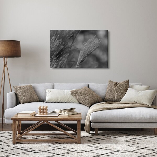 Slika - Osušena pampas trava (90x60 cm)