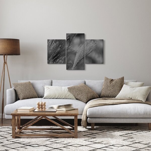 Slika - Osušena pampas trava (90x60 cm)
