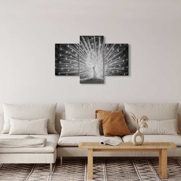 Slika - Bijeli paun (90x60 cm)