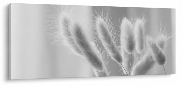 Slika - Zečji rep trava (120x50 cm)