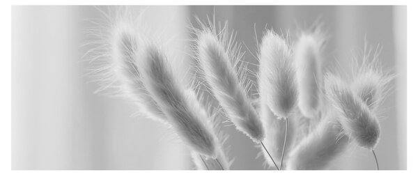 Slika - Zečji rep trava (120x50 cm)