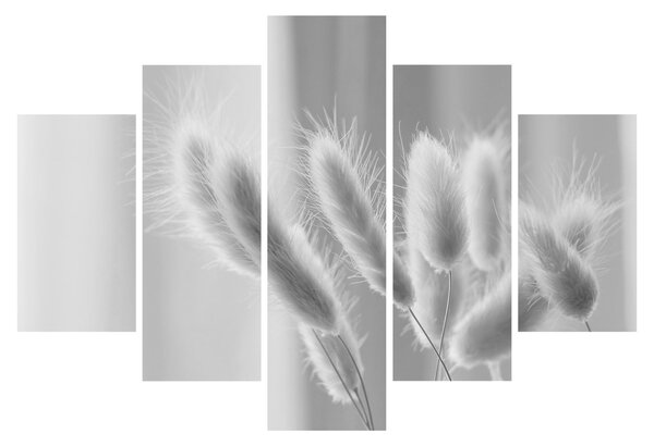 Slika - Zečji rep trava (150x105 cm)
