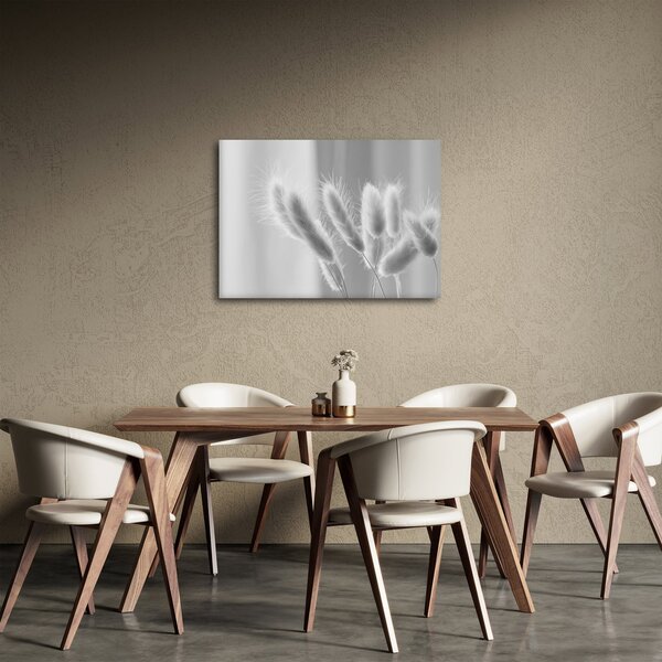 Slika - Zečji rep trava (70x50 cm)