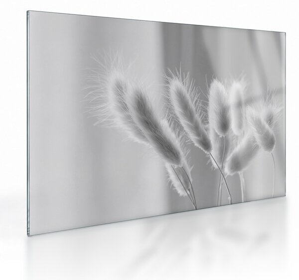 Staklena slika - Zečji rep trava (70x50 cm)