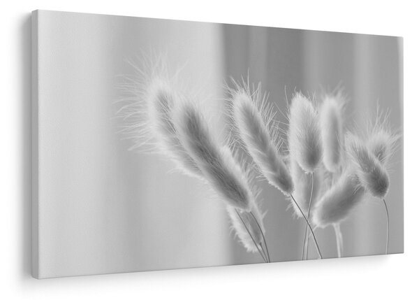 Slika - Zečji rep trava (90x60 cm)