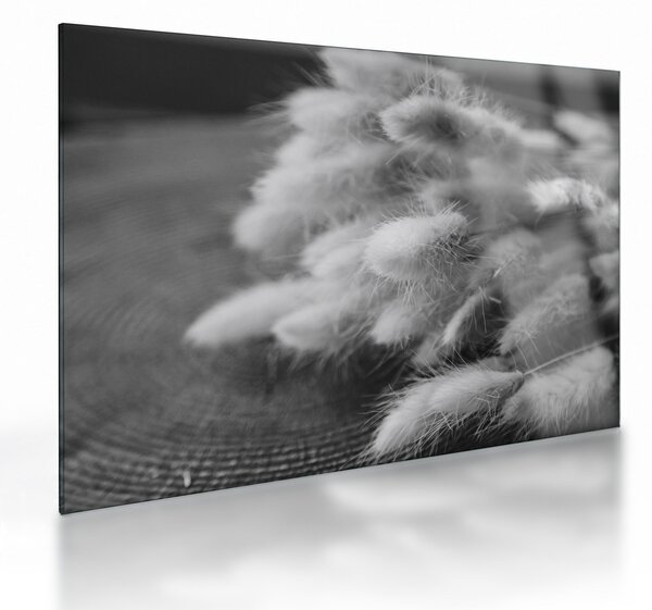 Staklena slika - zečji rep trava na stolu (70x50 cm)
