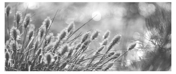 Slika - Bež mekana trava N⁰1 (120x50 cm)