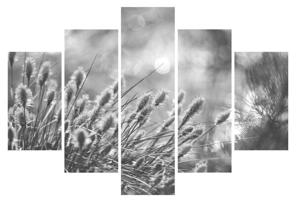 Slika - Bež mekana trava N⁰1 (150x105 cm)