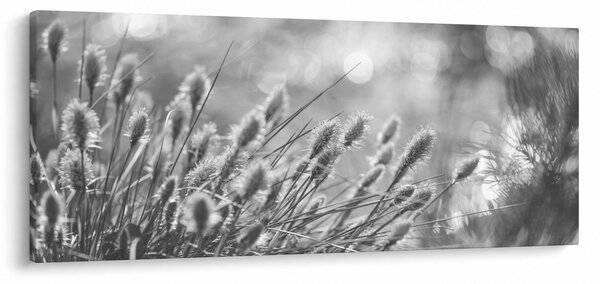 Slika - Bež mekana trava N⁰1 (120x50 cm)
