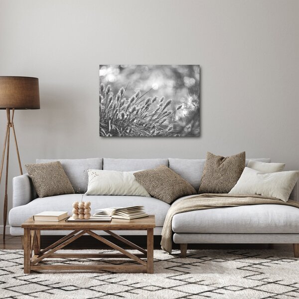 Slika - Bež mekana trava N⁰1 (70x50 cm)