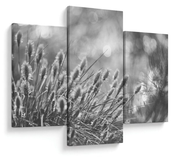 Slika - Bež mekana trava N⁰1 (90x60 cm)