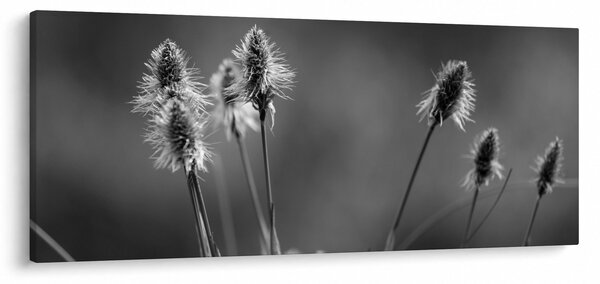 Slika - Bež mekana trava N⁰2 (120x50 cm)