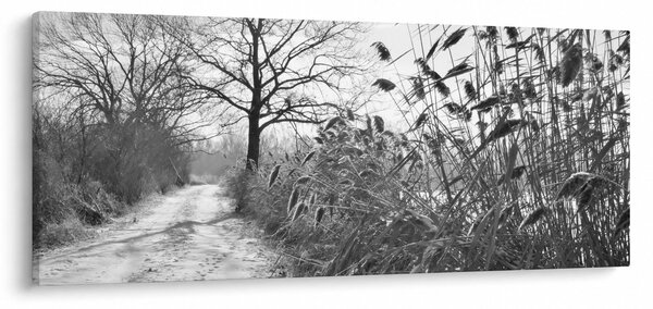 Slika - Polja zimi (120x50 cm)
