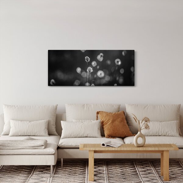 Slika - Cottongras na livadi (120x50 cm)
