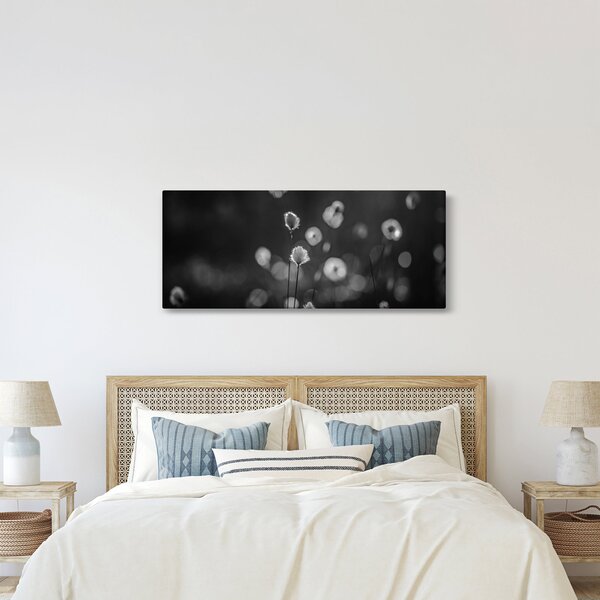 Slika - Cottongras na livadi (120x50 cm)