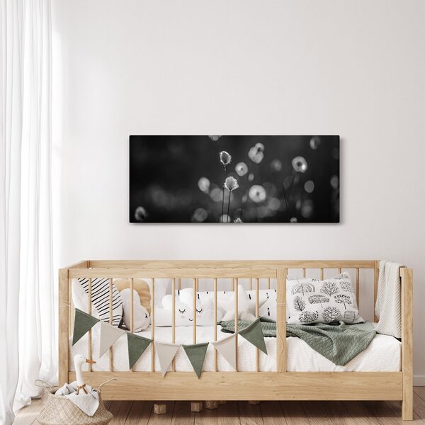 Slika - Cottongras na livadi (120x50 cm)
