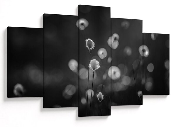Slika - Cottongras na livadi (150x105 cm)