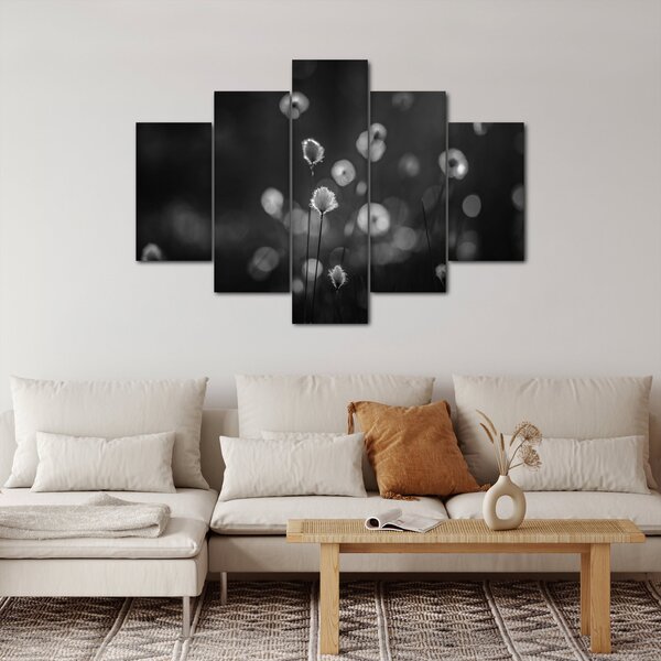 Slika - Cottongras na livadi (150x105 cm)