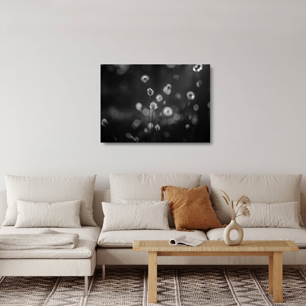 Staklena slika - Cottongras na livadi (70x50 cm)
