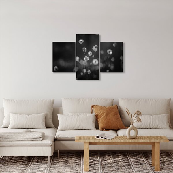 Slika - Cottongras na livadi (90x60 cm)