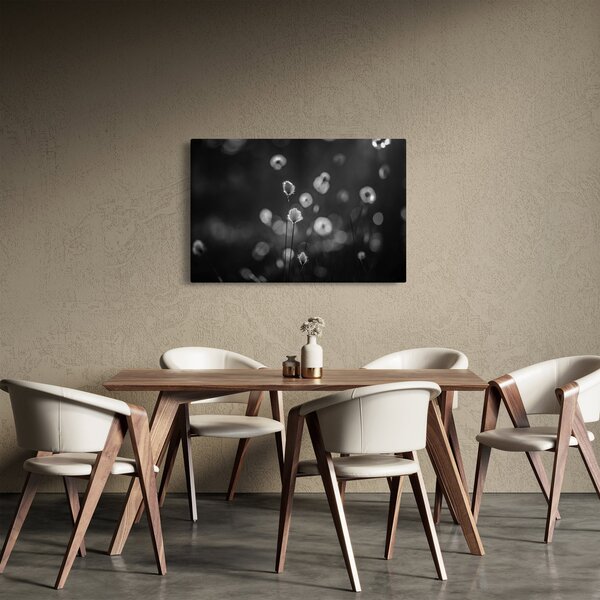 Slika - Cottongras na livadi (90x60 cm)