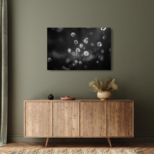 Slika - Cottongras na livadi (90x60 cm)