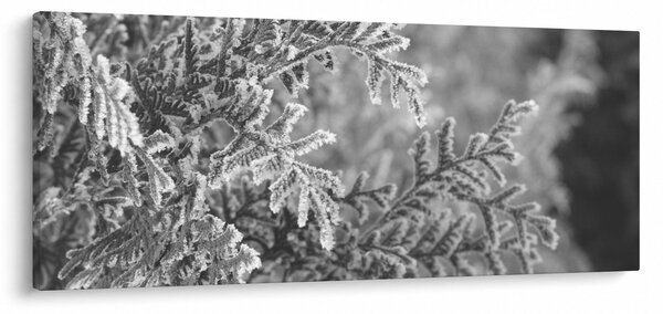 Slika - Šuma smreke (120x50 cm)