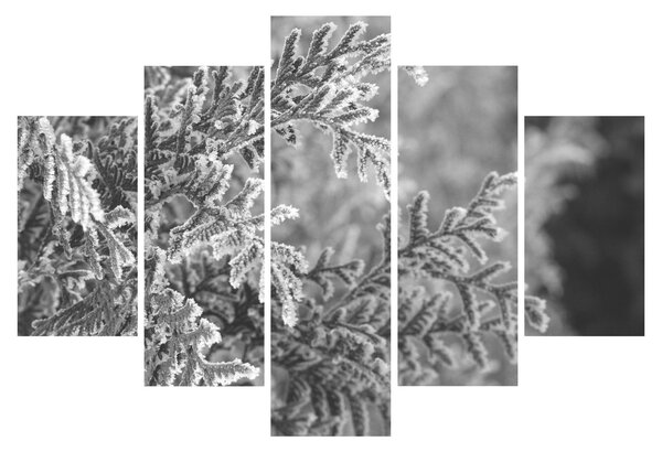 Slika - Šuma smreke (150x105 cm)