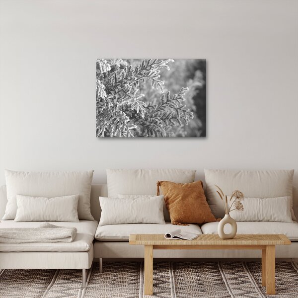 Slika - Šuma smreke (70x50 cm)