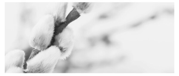 Slika - Početak proljeća (120x50 cm)