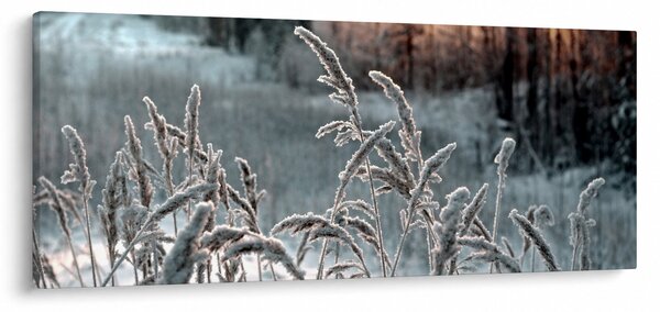 Slika - Smrznuta livada (120x50 cm)