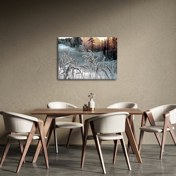 Slika - Smrznuta livada (70x50 cm)