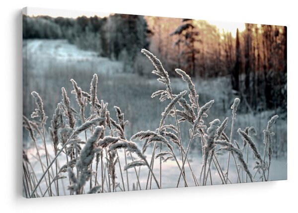 Slika - Smrznuta livada (90x60 cm)