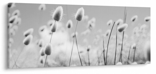 Slika - Boho trava od zečjeg repa (120x50 cm)