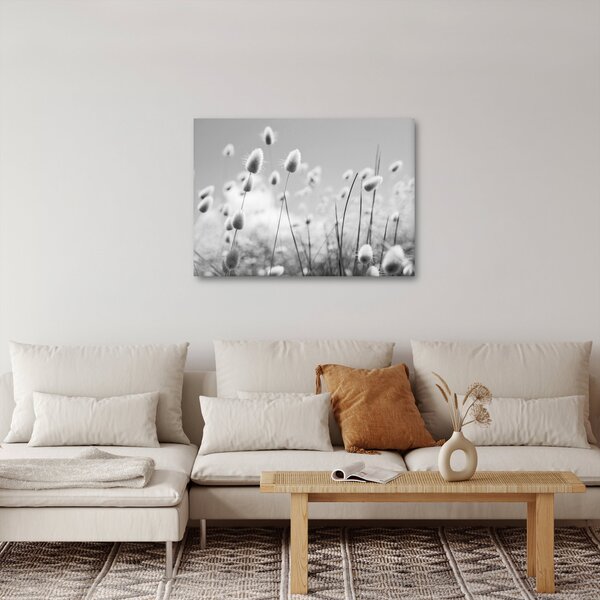 Slika - Boho trava od zečjeg repa (70x50 cm)
