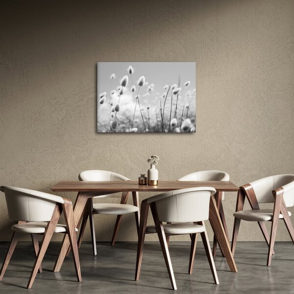 Slika - Boho trava od zečjeg repa (70x50 cm)