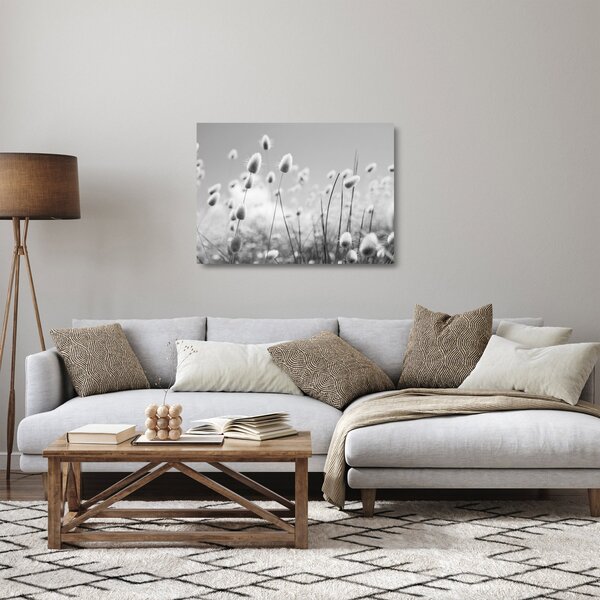 Staklena slika - Boho trava od zečjeg repa (70x50 cm)