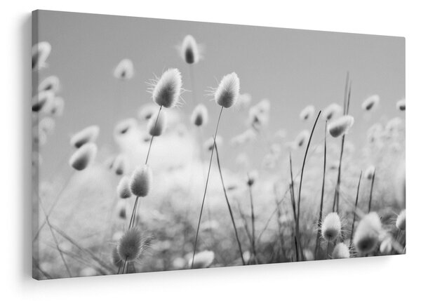 Slika - Boho trava od zečjeg repa (90x60 cm)
