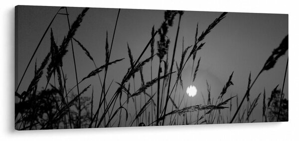 Slika - Livada sa zalaskom sunca (120x50 cm)